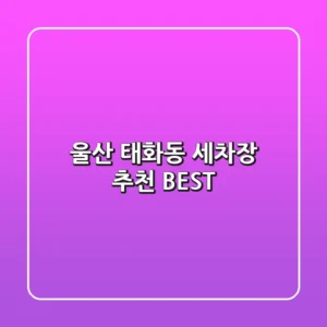 울산 태화동 세차장 추천 BEST