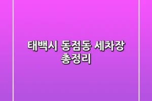 태백시 동점동 세차장 총정리