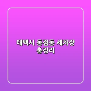 태백시 동점동 세차장 총정리