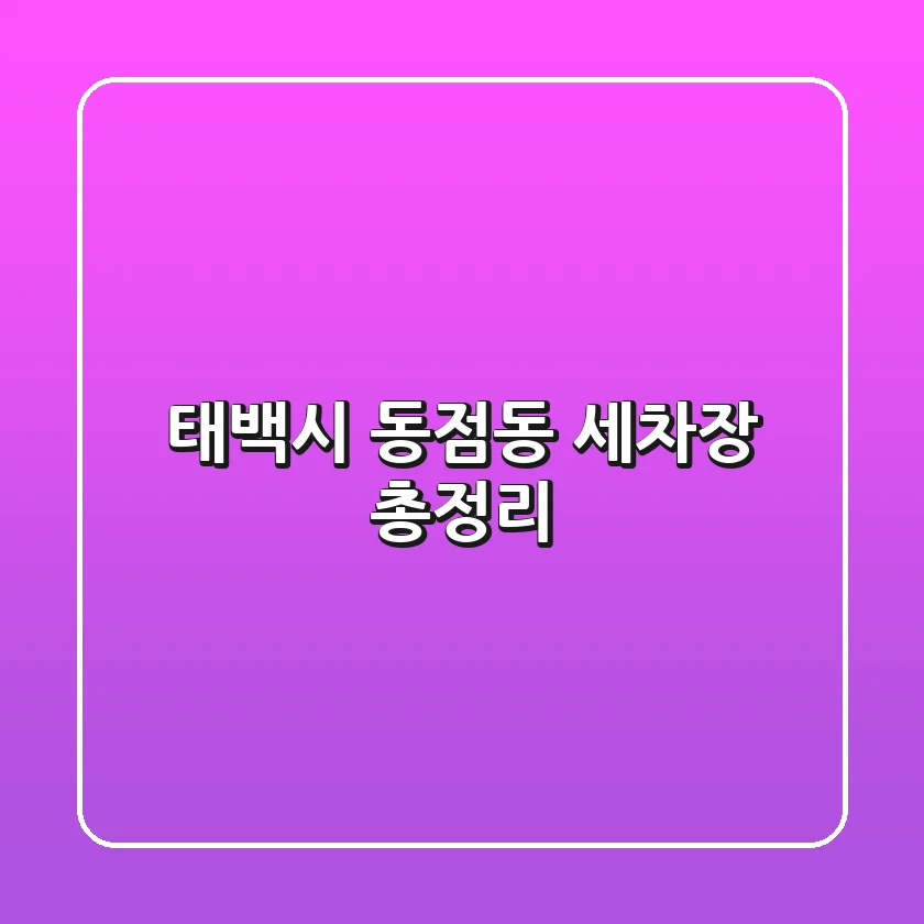태백시 동점동 세차장 총정리