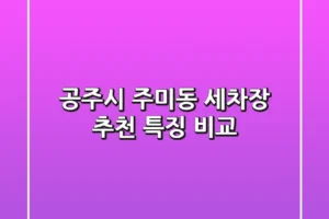 공주시 주미동 세차장 추천, 특징 비교