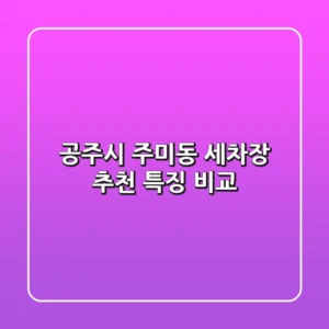 공주시 주미동 세차장 추천, 특징 비교