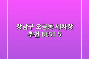 강남구 오금동 세차장 추천 BEST 5