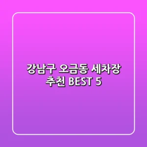 강남구 오금동 세차장 추천 BEST 5