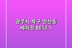 광주시 북구 양산동 세차장 BEST 5