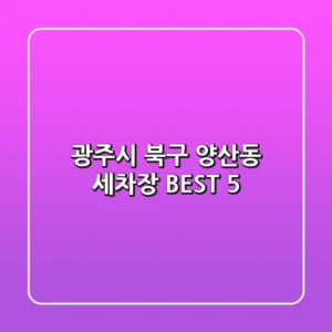 광주시 북구 양산동 세차장 BEST 5