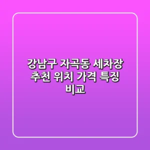 강남구 자곡동 세차장 추천: 위치, 가격, 특징 비교
