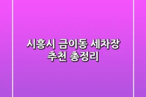 시흥시 금이동 세차장 추천 총정리