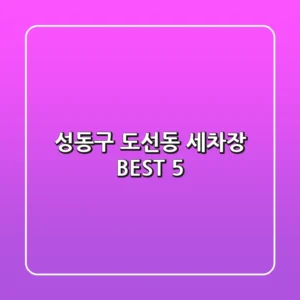 성동구 도선동 세차장 BEST 5