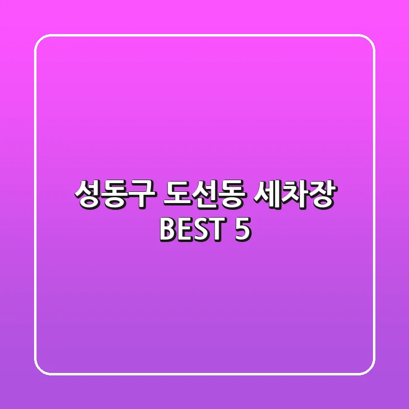 성동구 도선동 세차장 BEST 5