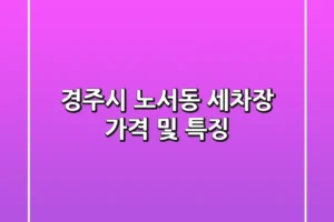 경주시 노서동 세차장, 가격 및 특징