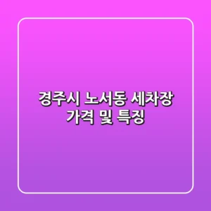 경주시 노서동 세차장, 가격 및 특징