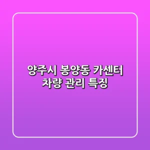 양주시 봉양동 카센터: 차량 관리 특징