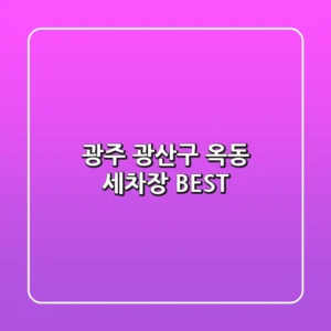 광주 광산구 옥동 세차장 BEST