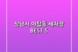 성남시 야탑동 세차장 BEST 5