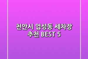 천안시 업성동 세차장 추천 BEST 5