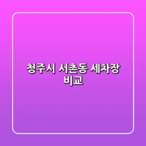 청주시 서촌동 세차장 비교