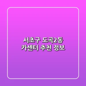 서초구 도곡2동 카센터 추천 정보