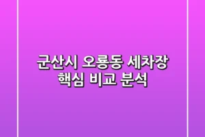 군산시 오룡동 세차장, 핵심 비교 분석