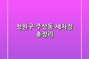청원구 주성동 세차장 총정리