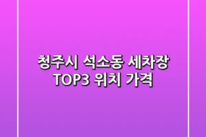 청주시 석소동 세차장 TOP3 위치 가격