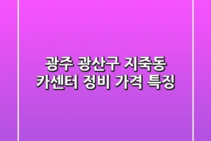 광주 광산구 지죽동 카센터 정비 가격 특징
