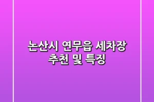 논산시 연무읍 세차장 추천 및 특징