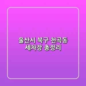 울산시 북구 천곡동 세차장 총정리