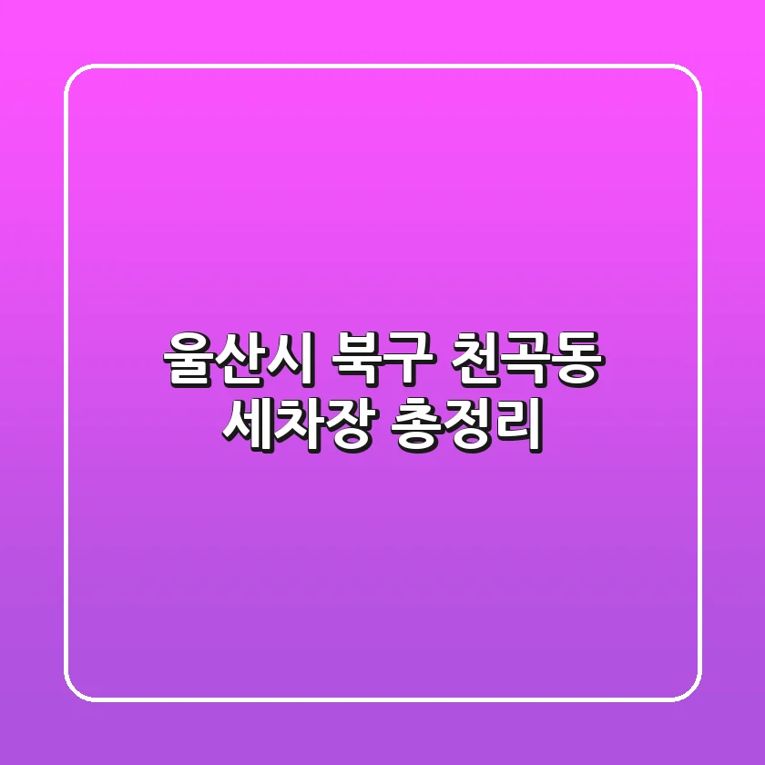 울산시 북구 천곡동 세차장 총정리