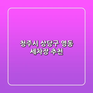 청주시 상당구 영동 세차장 추천