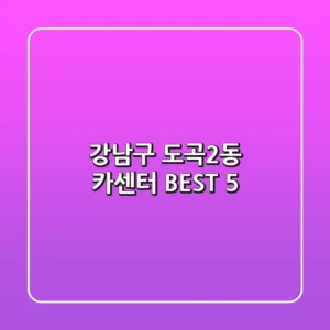 강남구 도곡2동 카센터 BEST 5