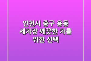 인천시 중구 용동 세차장, 깨끗한 차를 위한 선택