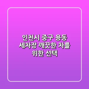 인천시 중구 용동 세차장, 깨끗한 차를 위한 선택