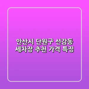 안산시 단원구 선감동 세차장 추천 | 가격 특징