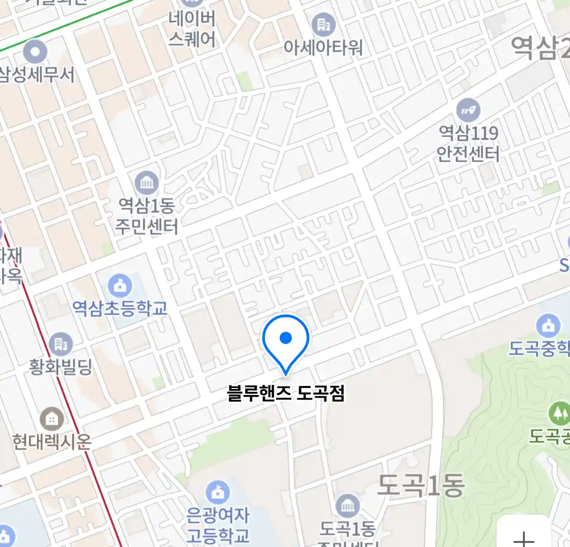 블루핸즈 도곡점