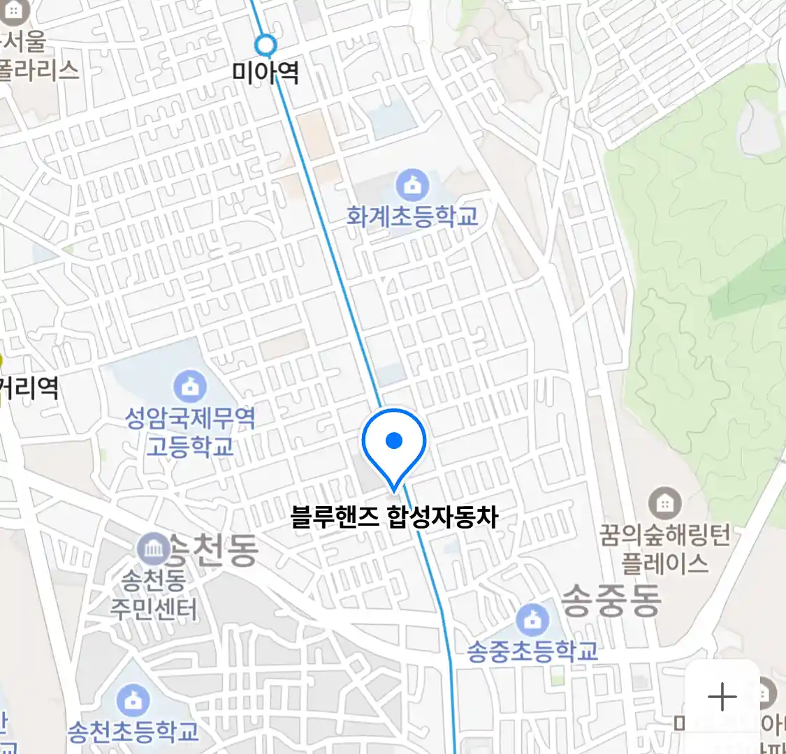 블루핸즈 합성자동차
