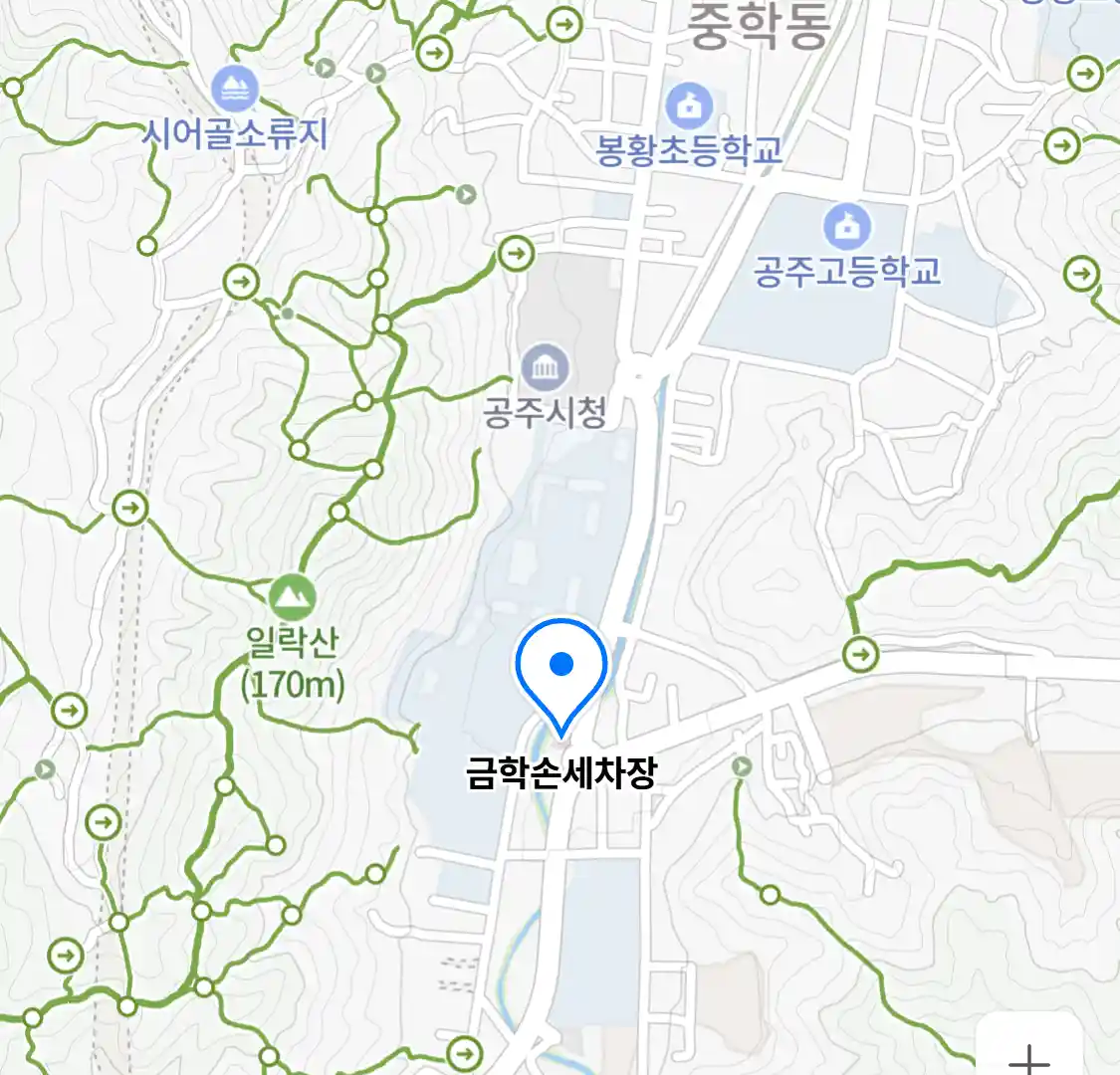 금학손세차장