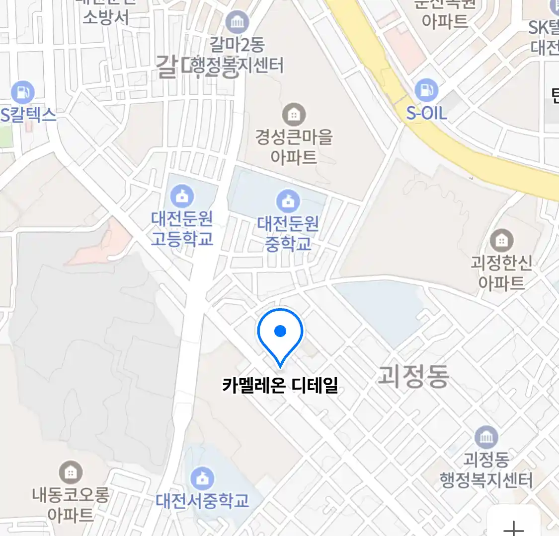 카멜레온 디테일