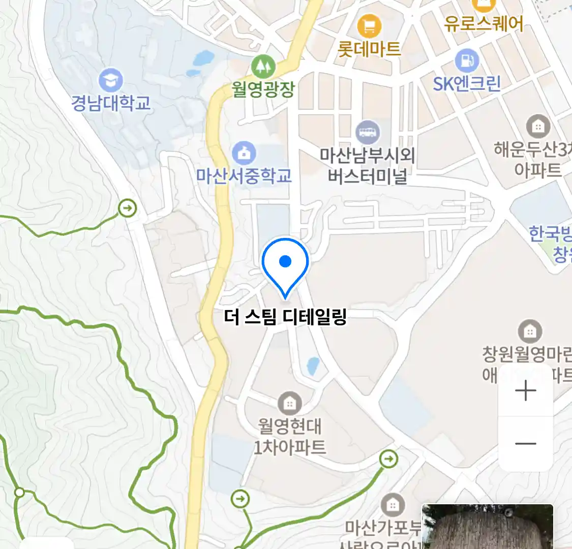 더 스팀 디테일링