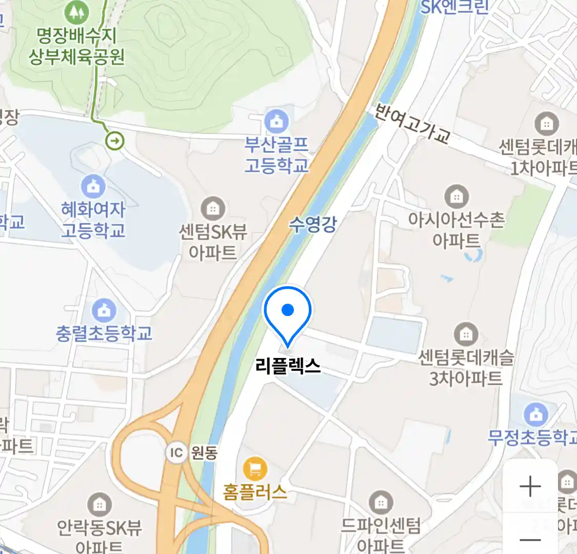 리플렉스