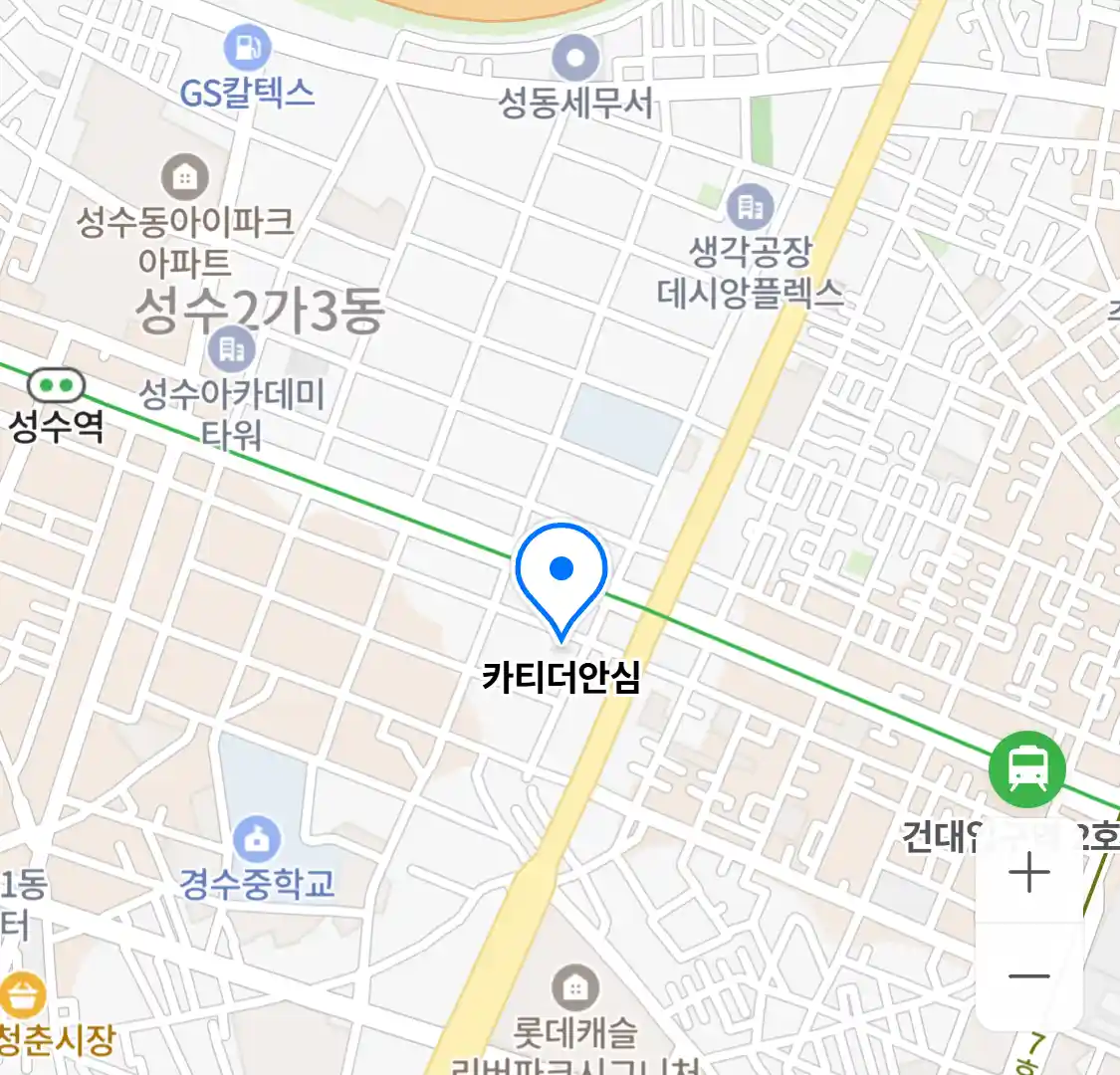 카티더안심