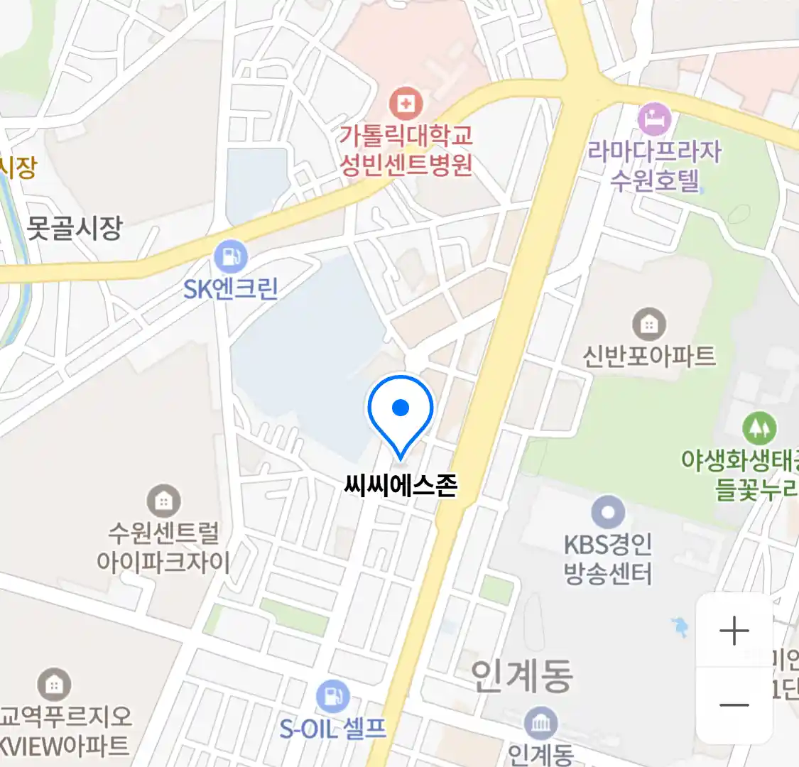 씨씨에스존
