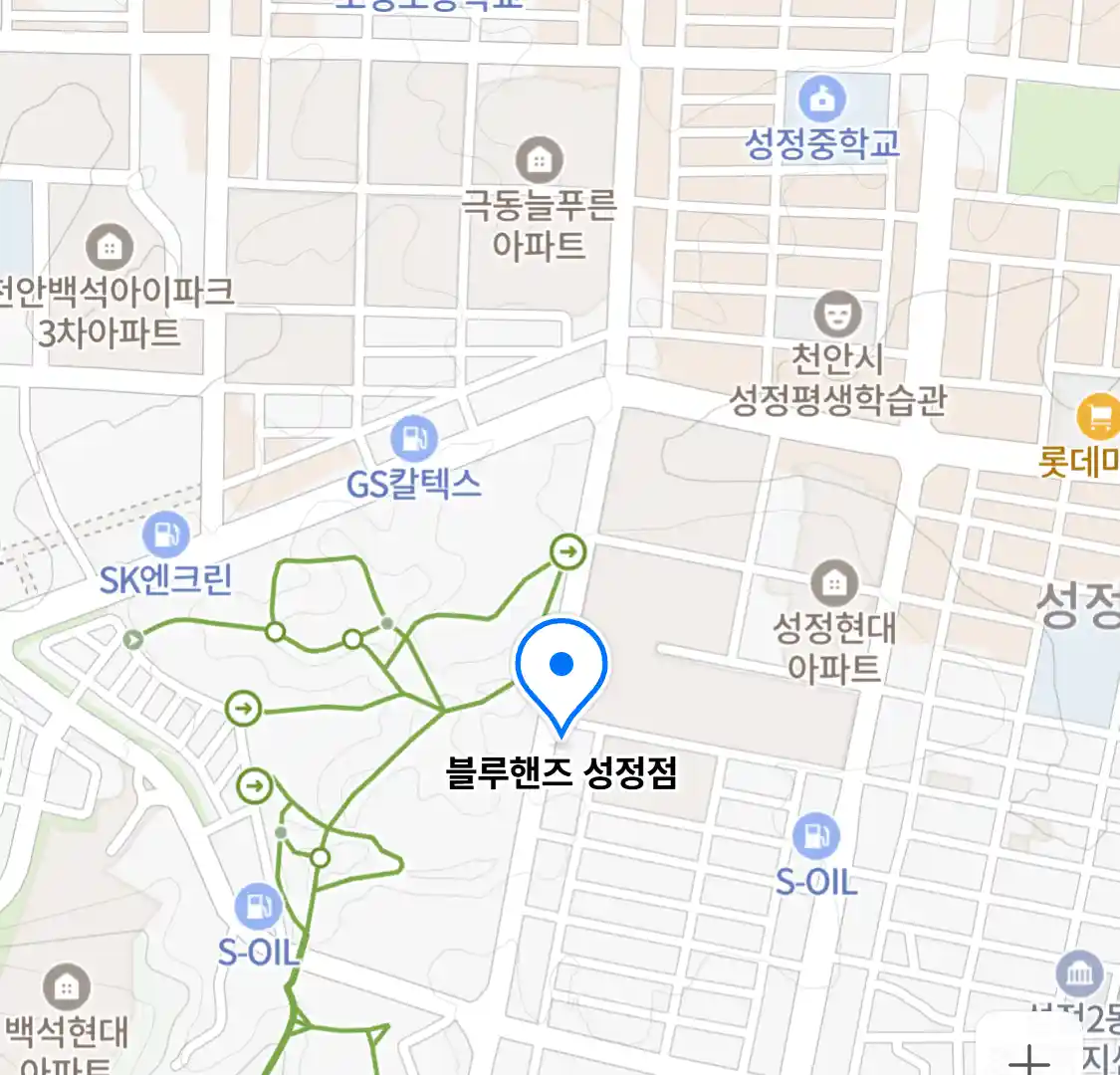 블루핸즈 성정점