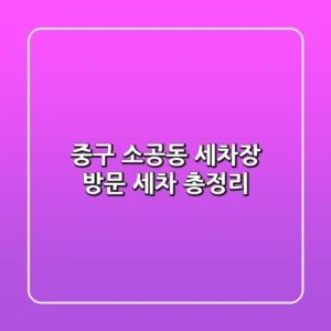 중구 소공동 세차장: 방문 세차 총정리