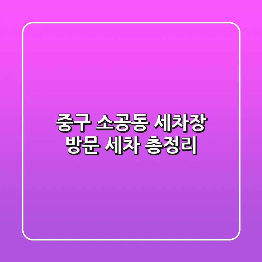 중구 소공동 세차장: 방문 세차 총정리