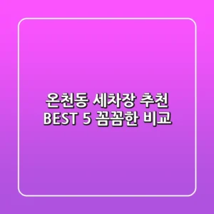 온천동 세차장 추천 BEST 5 : 꼼꼼한 비교