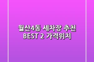 월산4동 세차장 추천 BEST 2 (가격/위치)