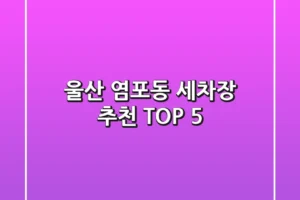 울산 염포동 세차장 추천 TOP 5