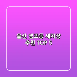 울산 염포동 세차장 추천 TOP 5