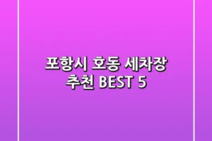 포항시 호동 세차장 추천 BEST 5